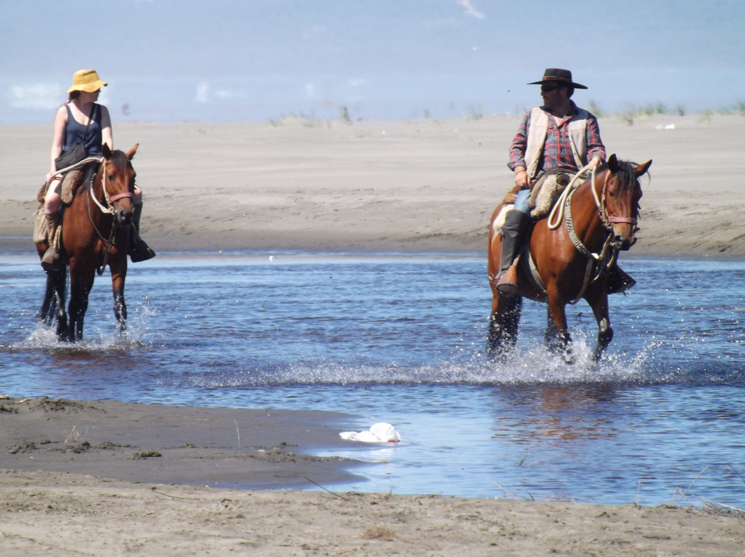 Palafito Trip Tours Chiloe-Cucao必去景点