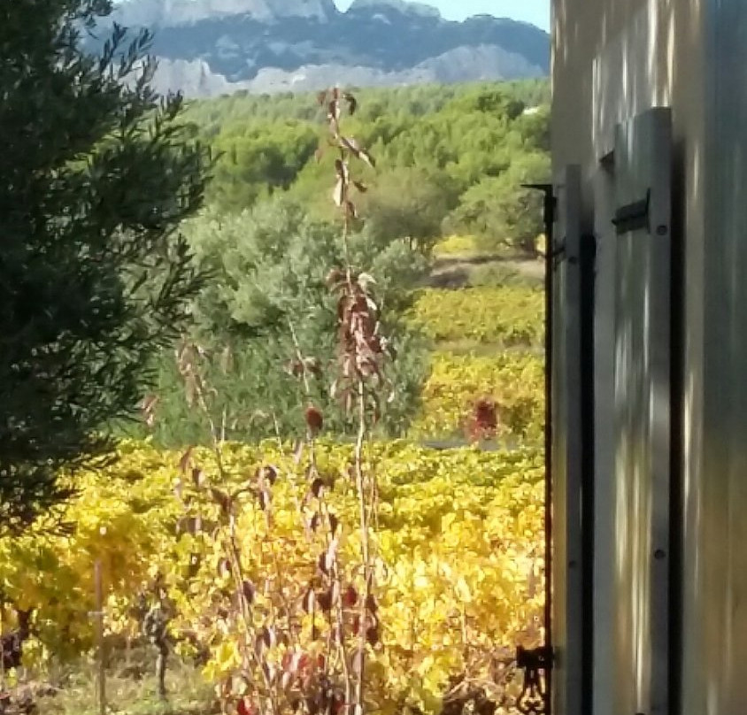 La Dentelliere主图