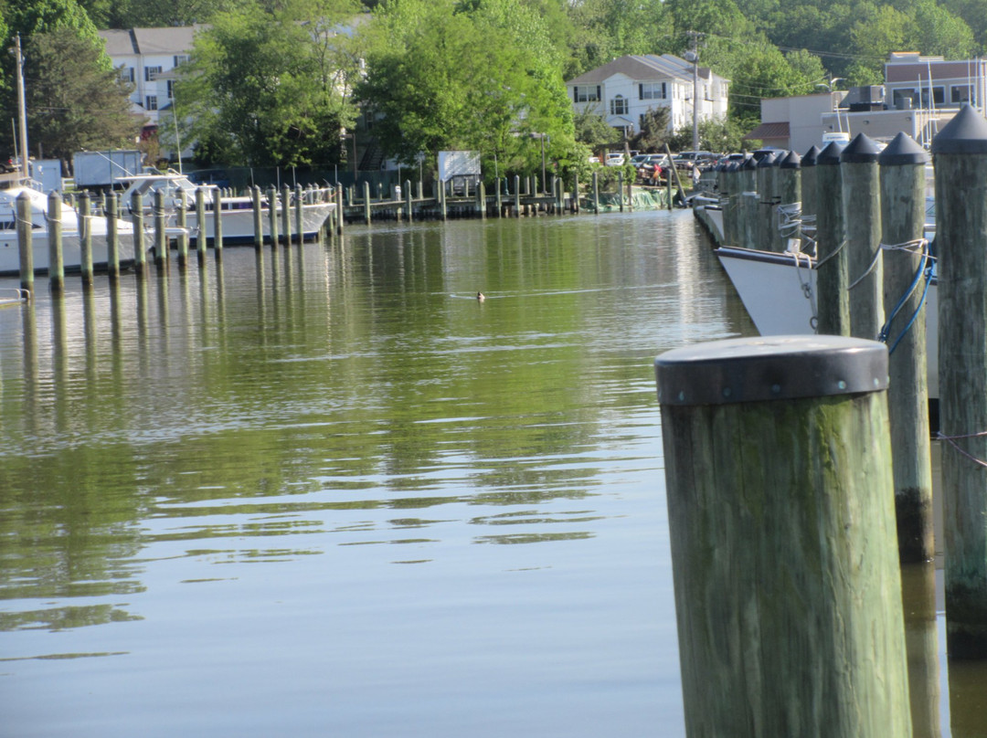 Chesapeake Beach Railway Trail景点图片