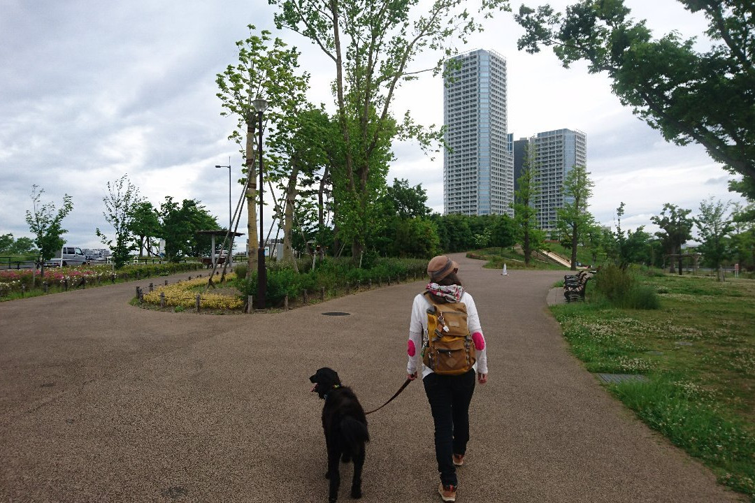Futakotamagawa Park景点图片