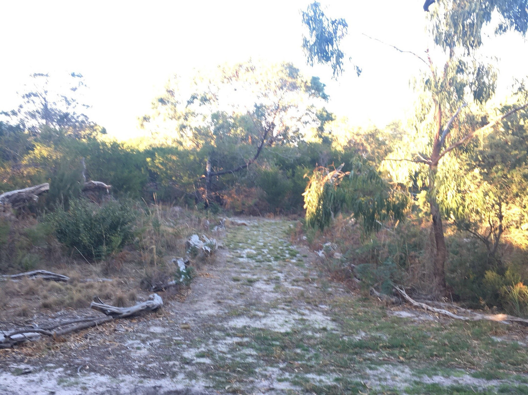 Bay Road Heathland Sanctuary-Sandringham必去景点