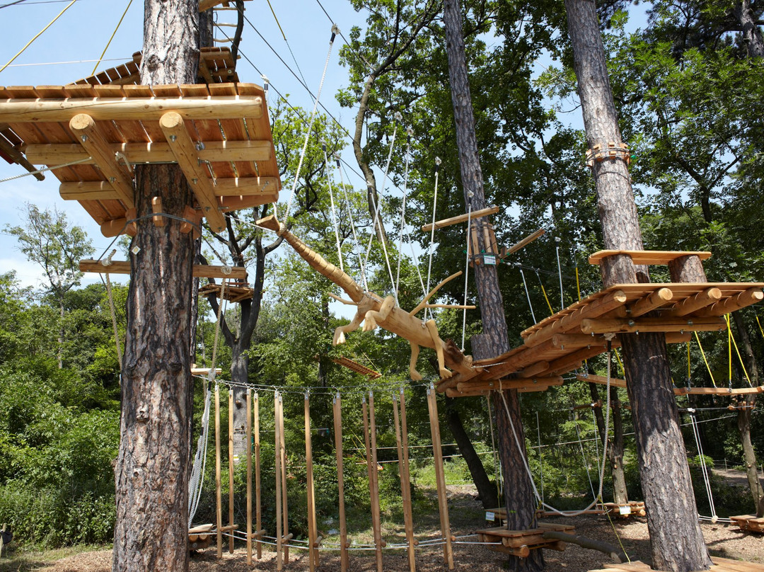 Waldseilpark Kahlenberg-维也纳必去景点