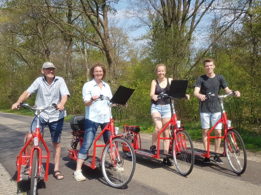 Loopfiets Holten-Holten必去景点