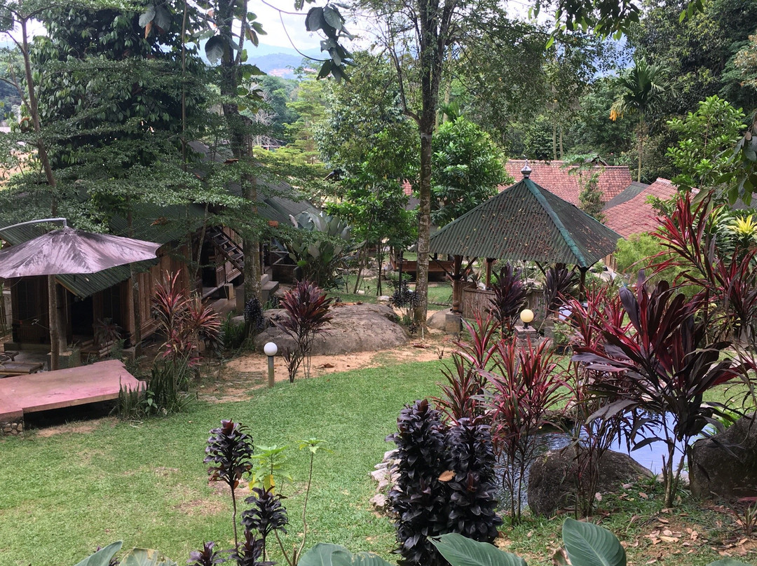 Bamboo Village Kuala Lumpur主图