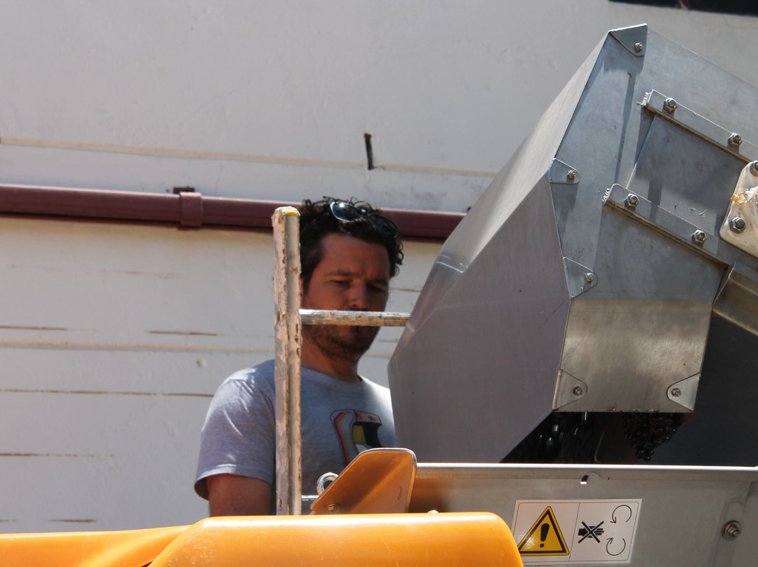 Overgaauw Wine Estate-斯泰伦博斯必去景点