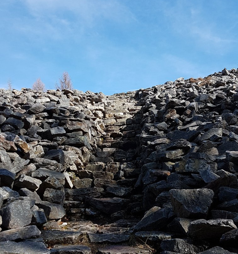 Hunnenring der keltische Ringwall-Nonnweiler必去景点