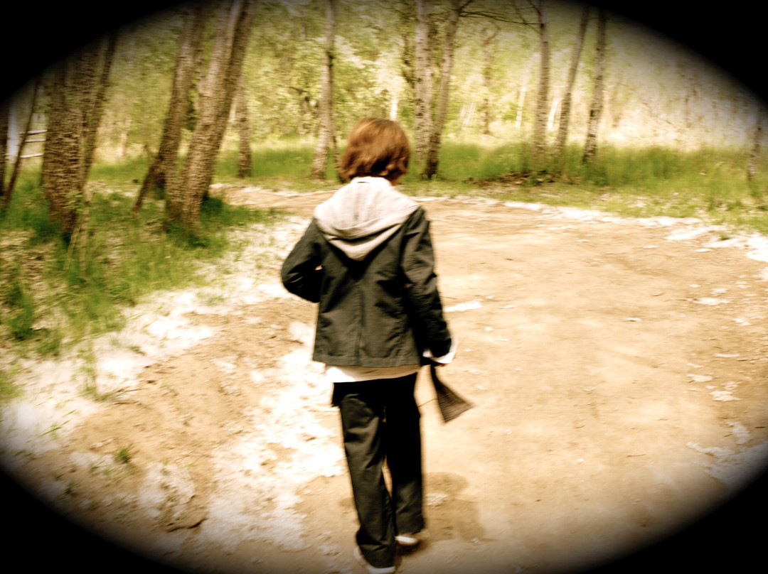 Parque Natural Municipal de la Mitjana-列伊达必去景点