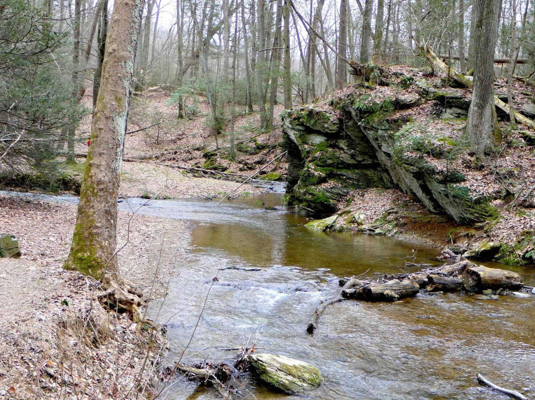 Tucquan Glen Nature Preserve景点图片