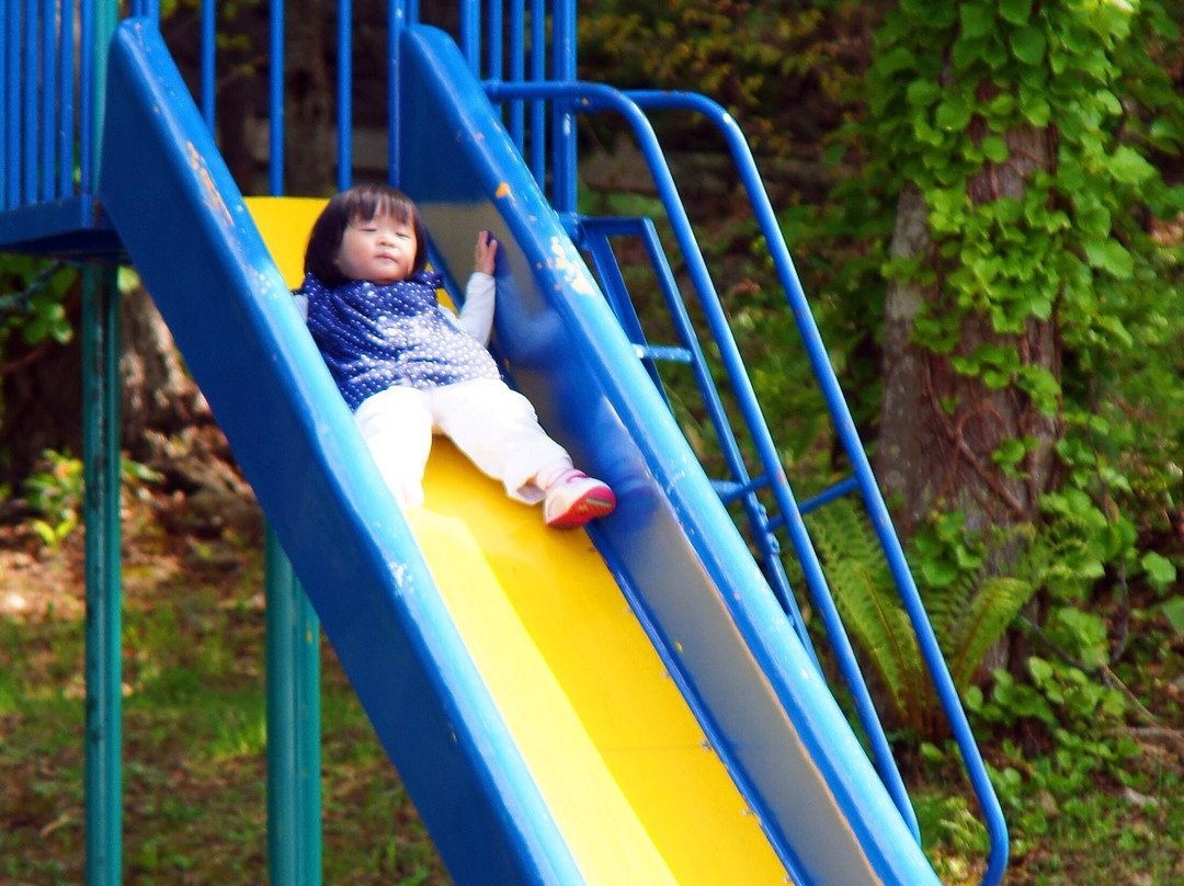 Mt. Tengu-和歌山市必去景点