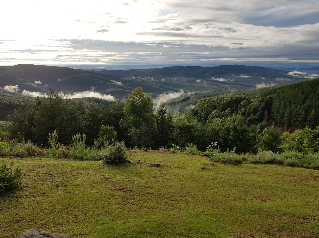 Misty Mountain主图