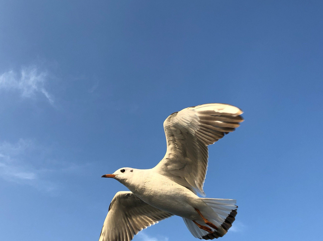 Kunjpur Guest House主图