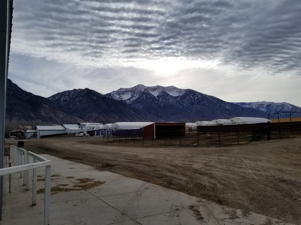 Young Living Farms Lavender Farm-Mona必去景点