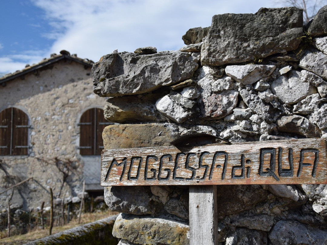 Moggio Udinese旅游攻略图片