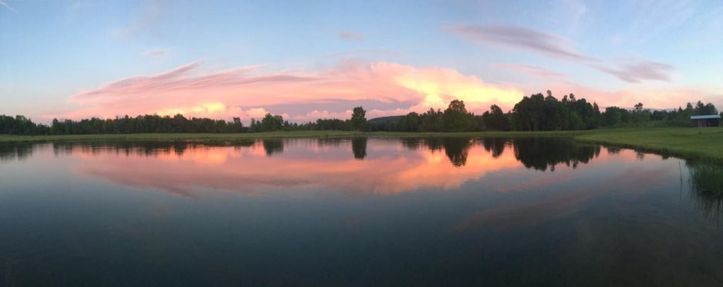 Otto旅游攻略图片