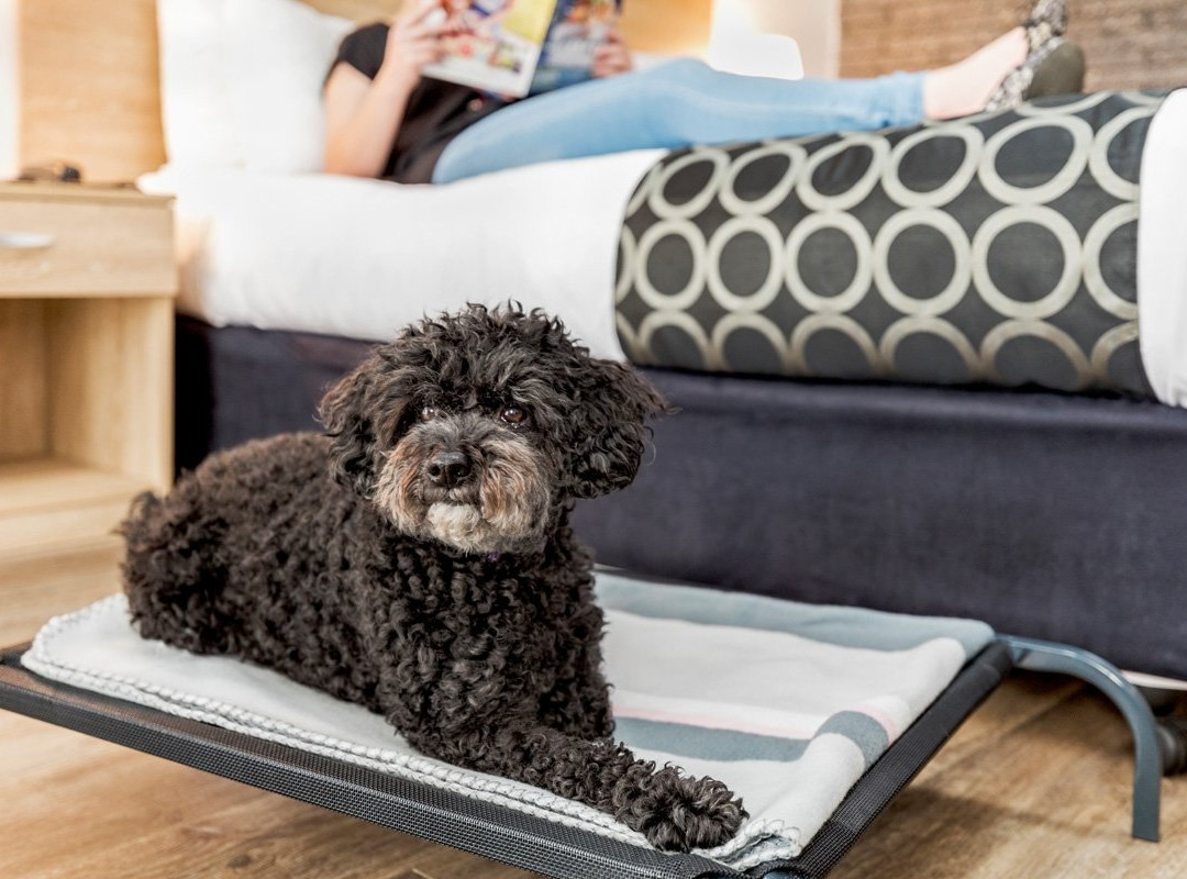 阿德莱德路汽车旅馆主图