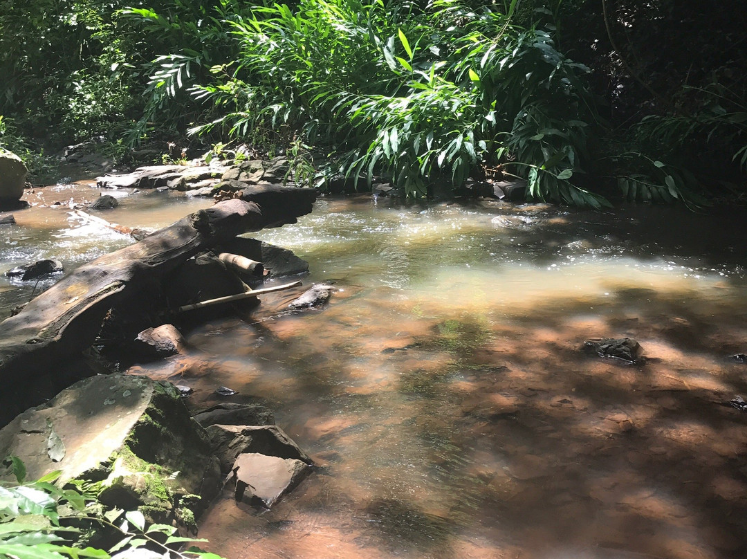 Cachoeira Tres Quedas景点图片