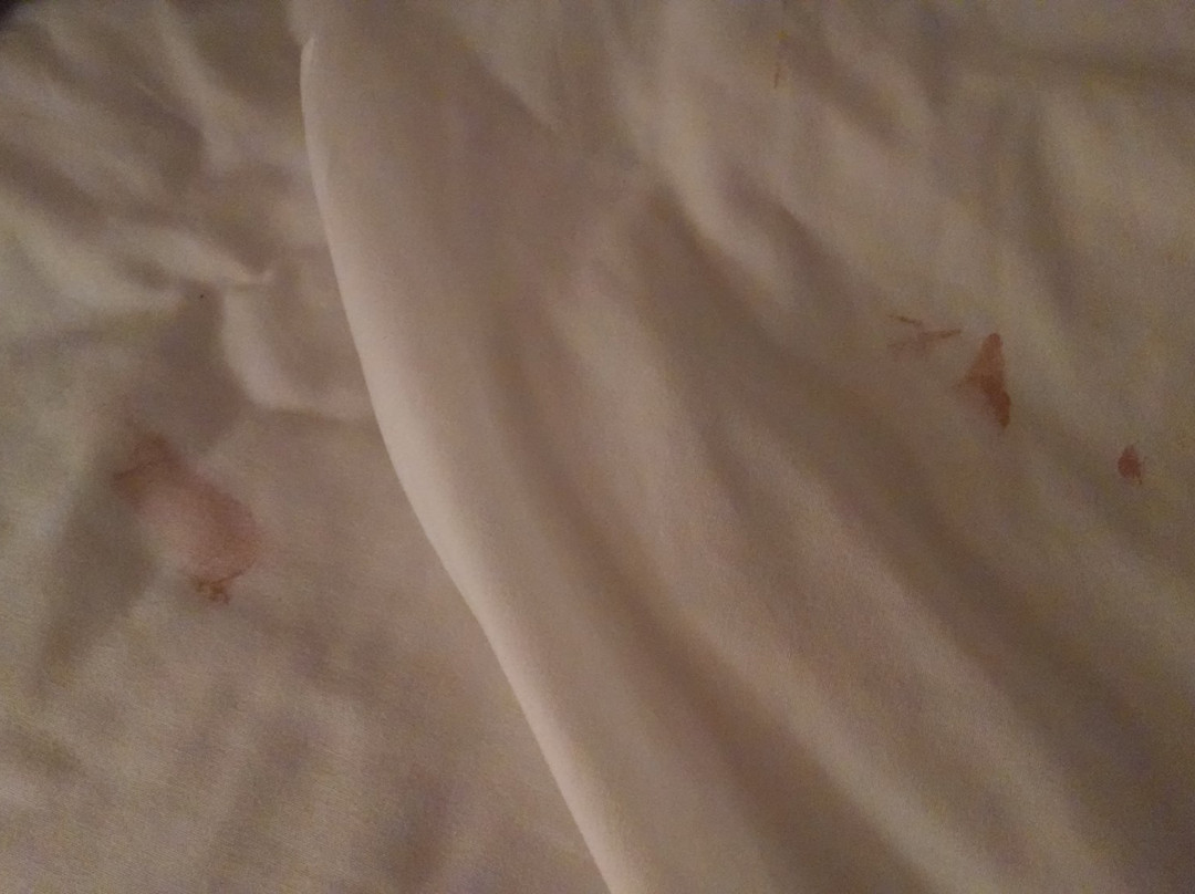 Divots Convention Center-Norfolk必去景点