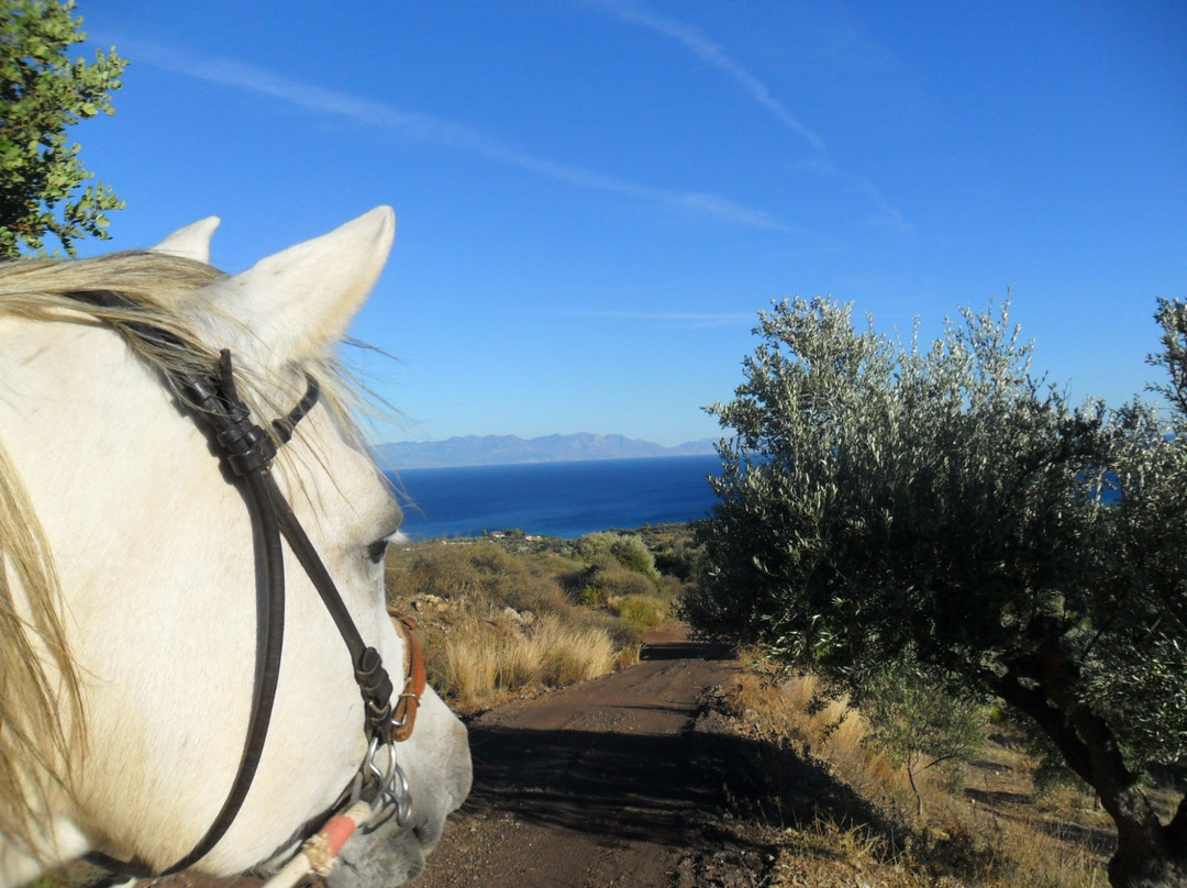 PeripetiaHorses-Chrani必去景点