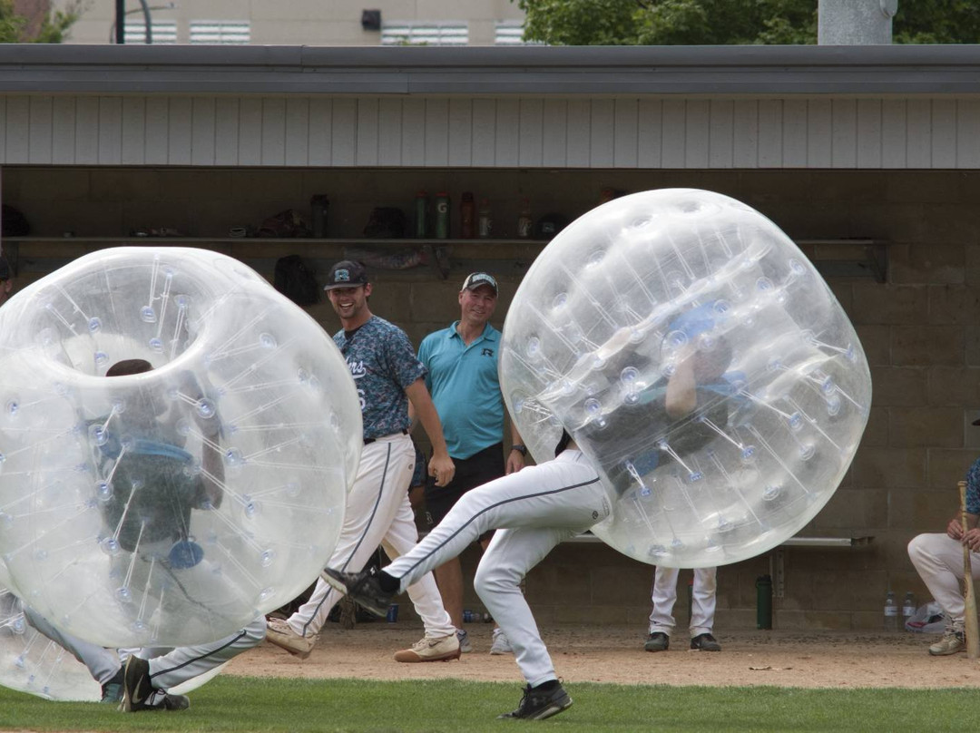 Mayo Field-罗切斯特必去景点