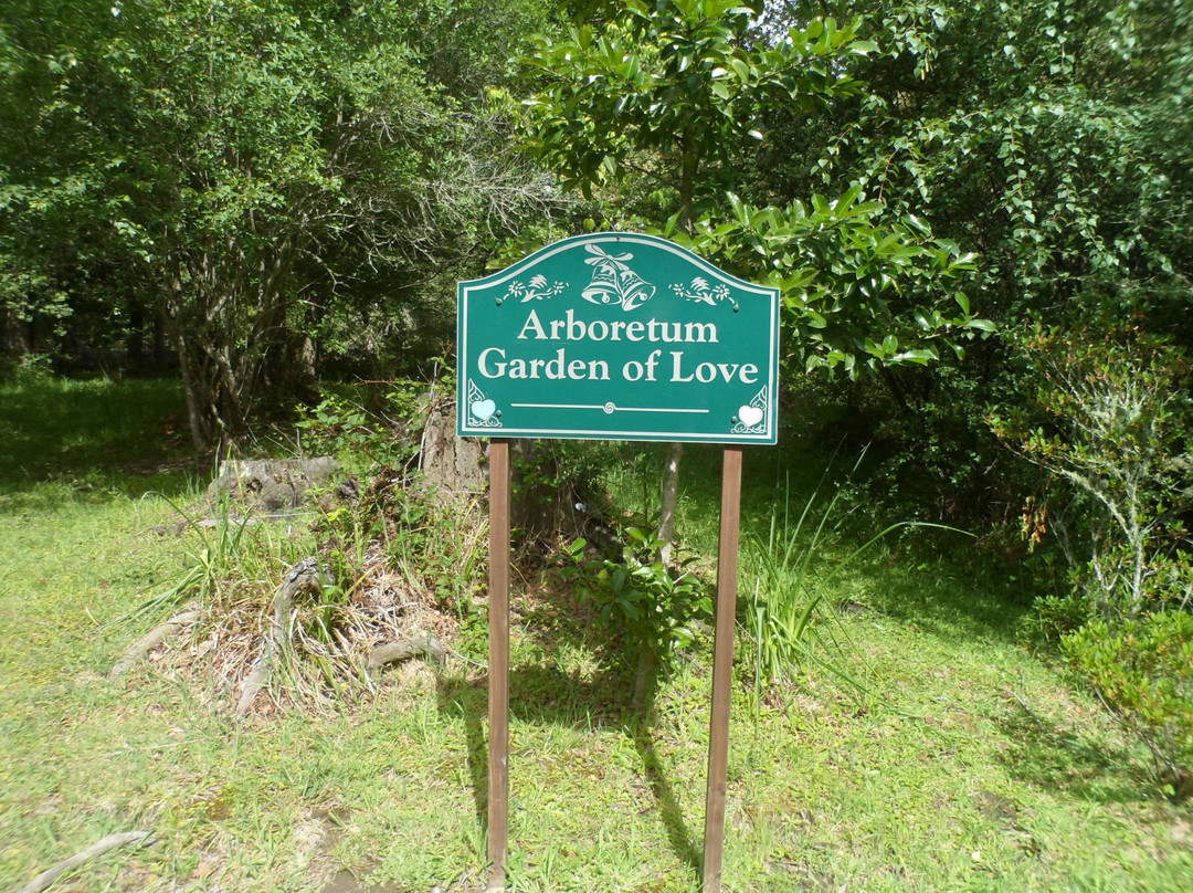 Hogsback Arboretum景点图片