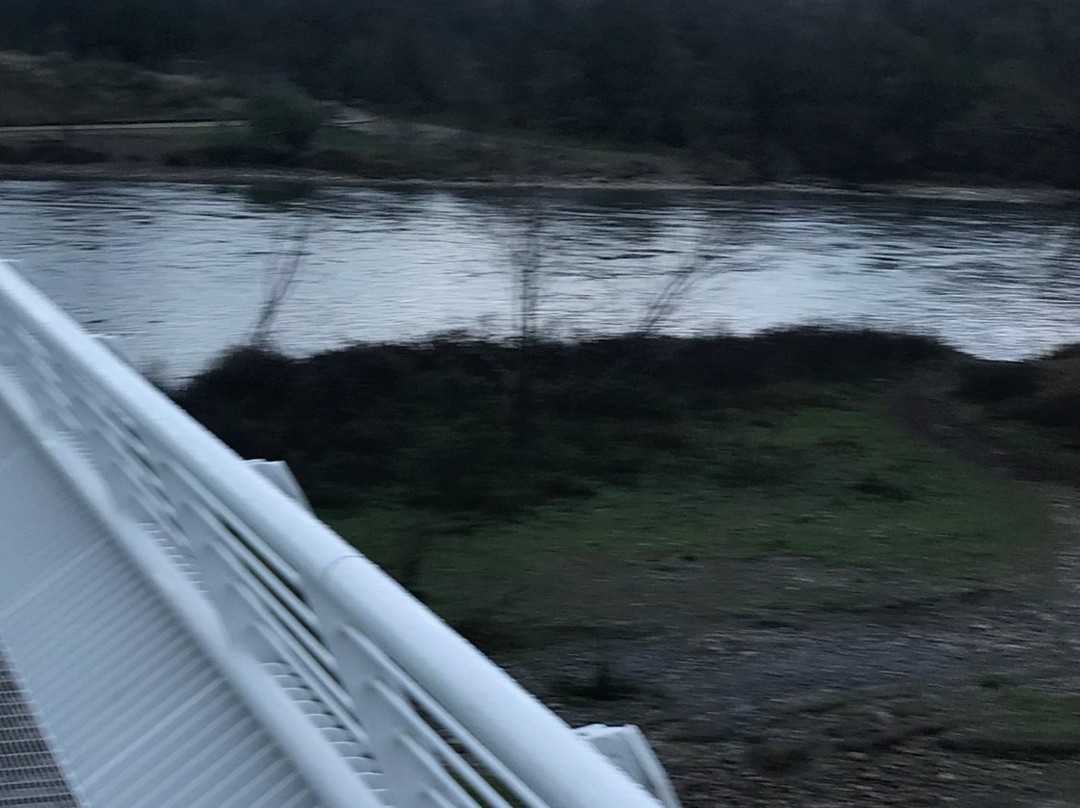 Sheraton Redding Hotel at the Sundial Bridge主图