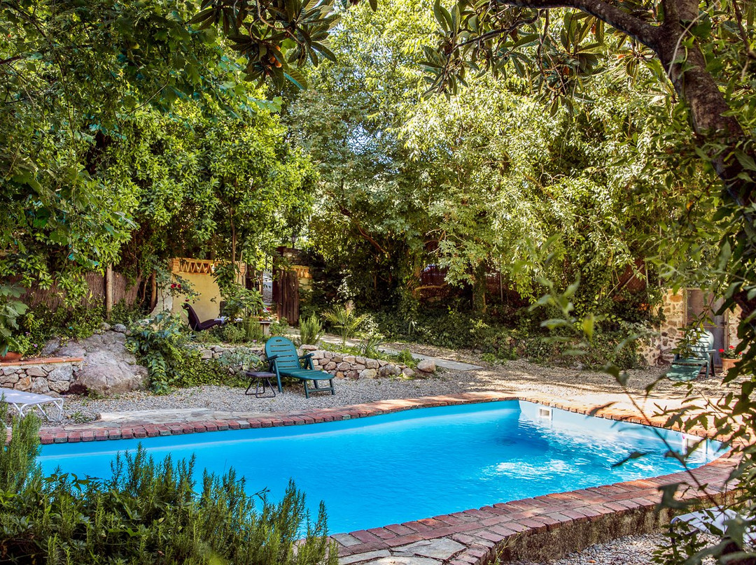 林中小屋乡村旅馆主图