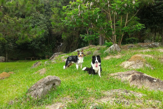 Hotel Pousada Muxarabi主图