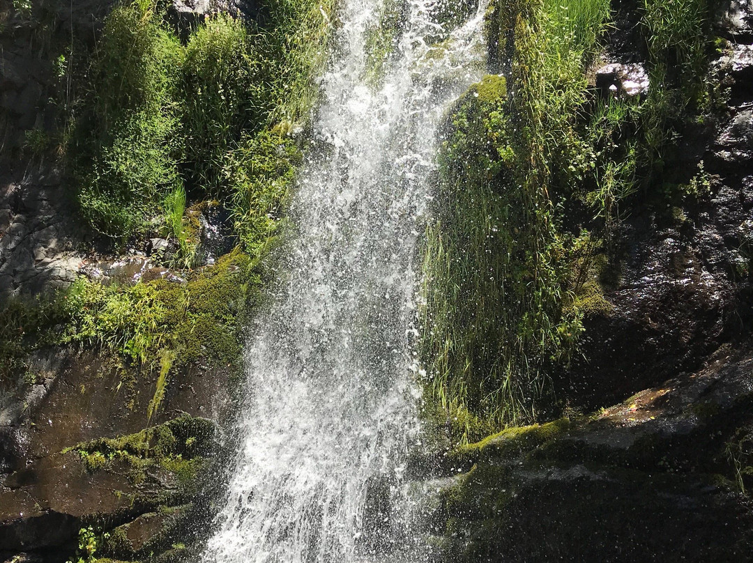 Reserva Nacional Río Los Cipreses景点图片