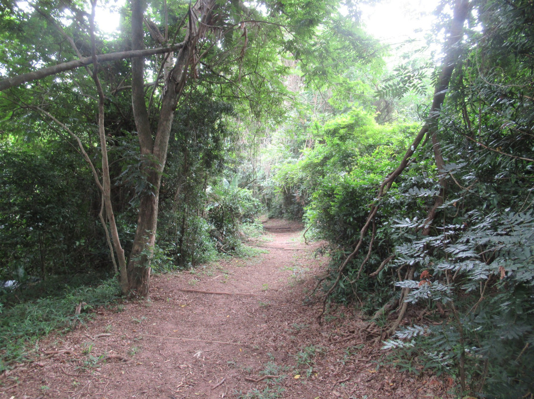 Kenneth Stainbank Nature Reserve景点图片