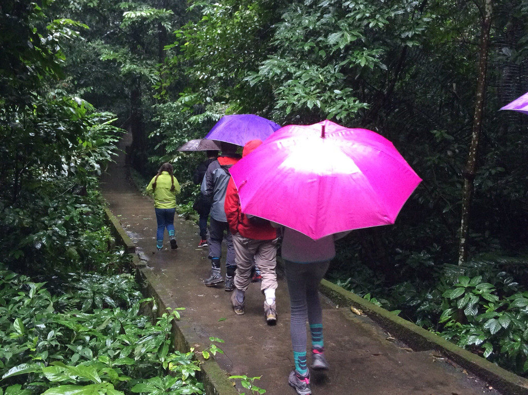 Cuc Phuong National Park Tour - Private Day Tours景点图片