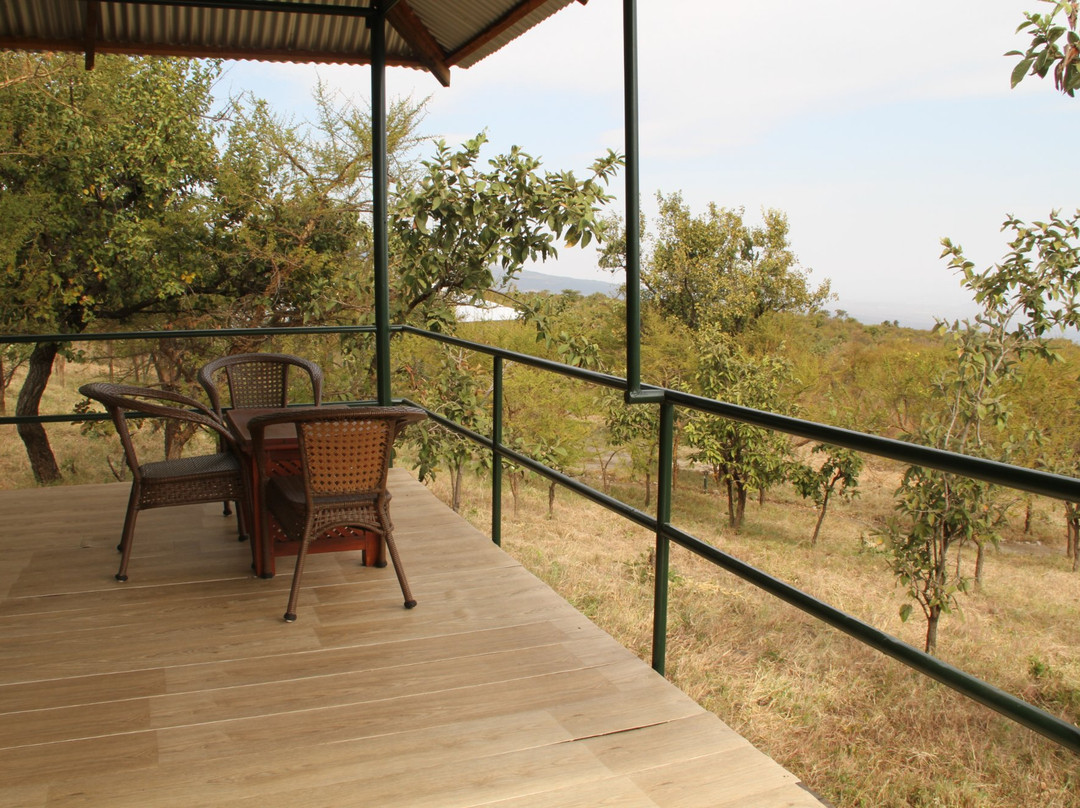 Ngorongoro Lodge & Campsite主图