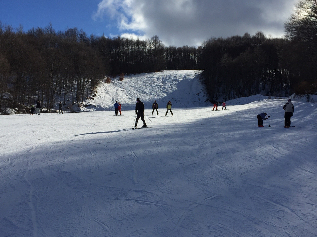 Ski Center Vigla-Pisoderi景点图片