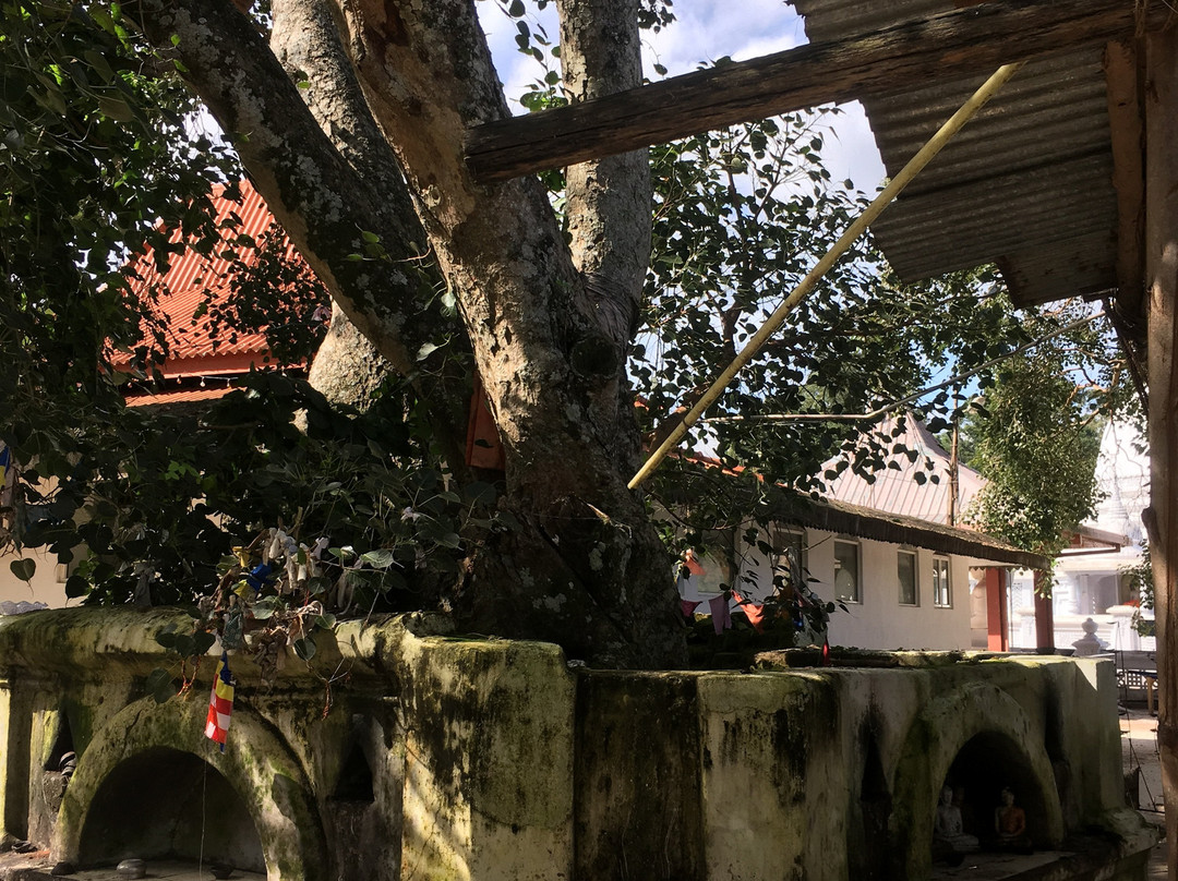 Divurumpola-Welimada必去景点