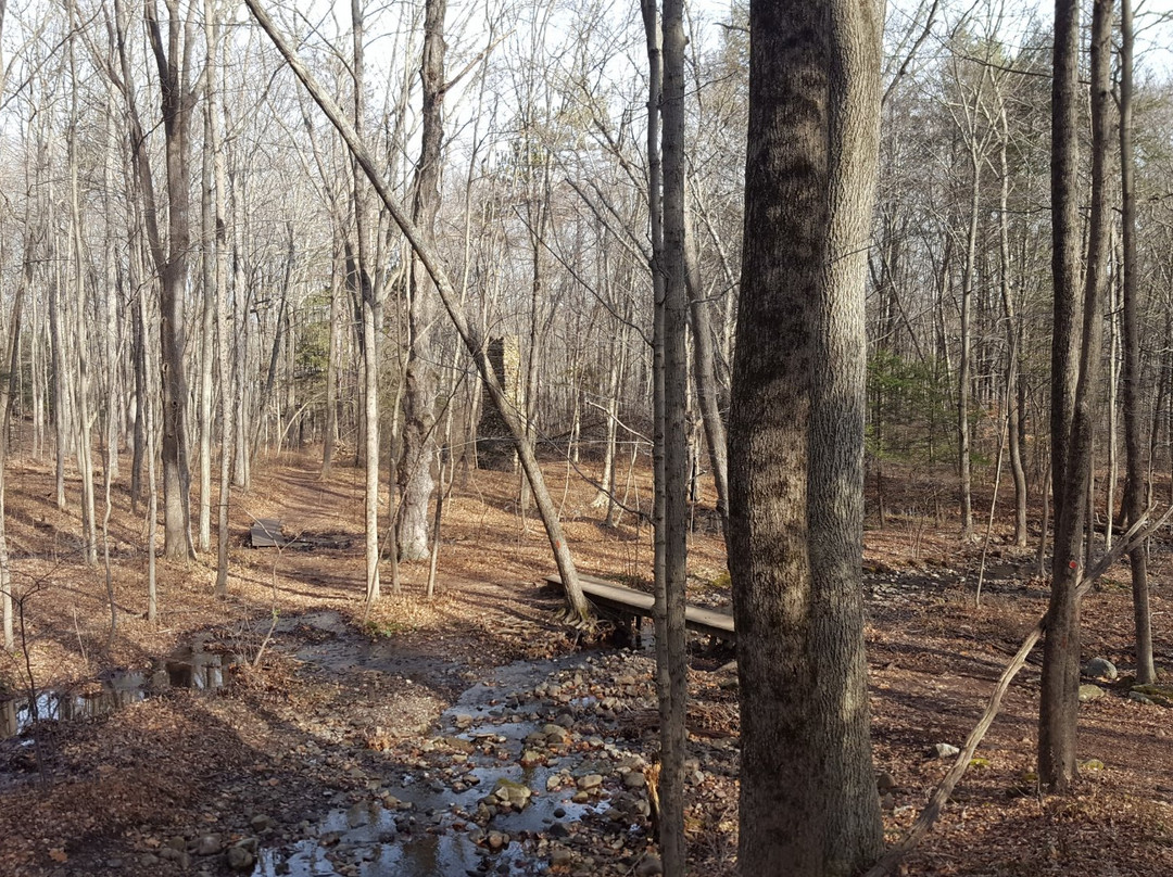 Roaring Brook Park景点图片