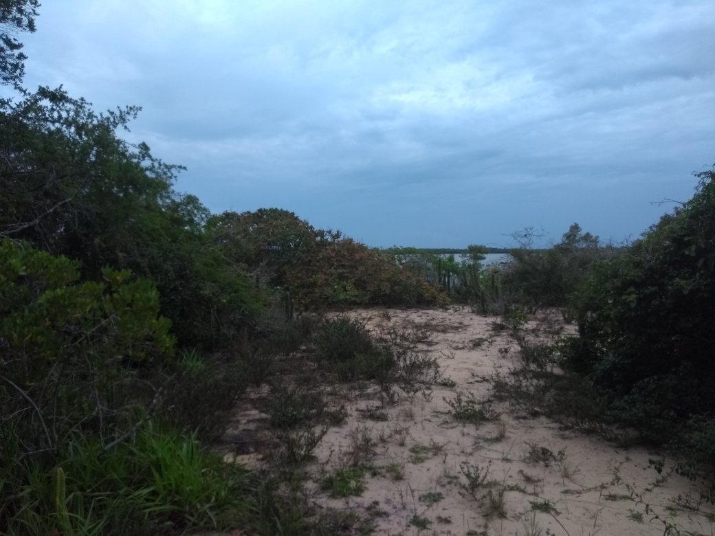 Trilha do Maroba-Caravelas必去景点