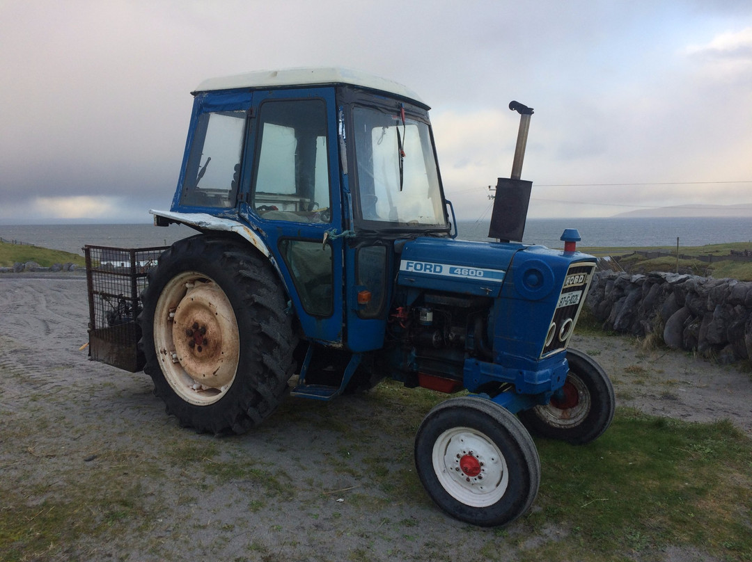 The Mermaid's Garden主图