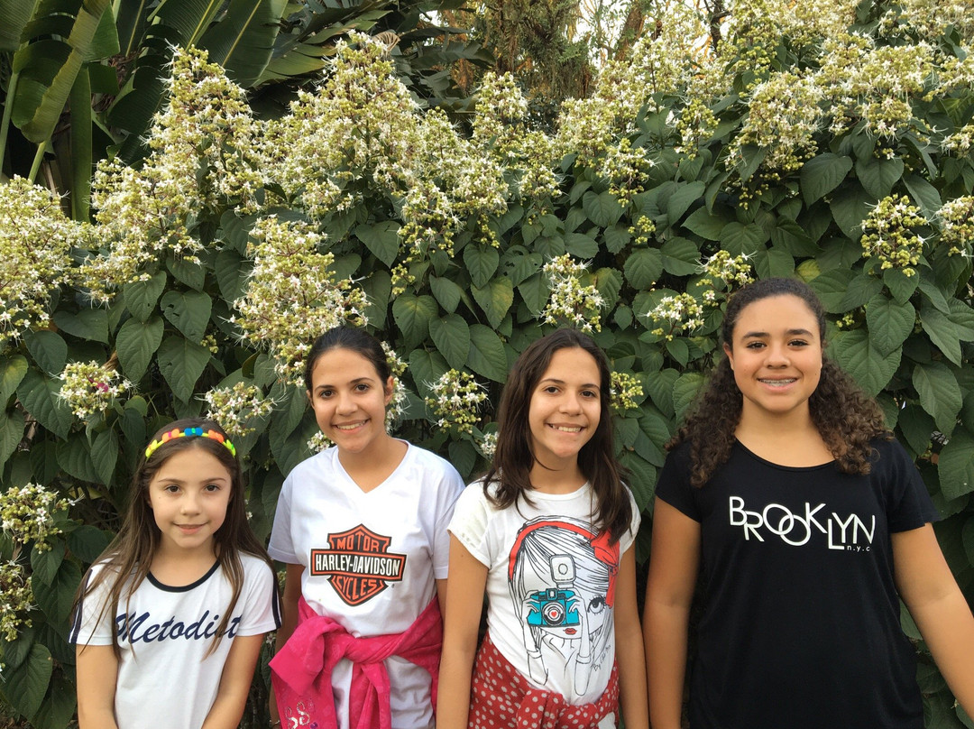 Parque Rafael Lazzuri-圣贝尔纳多-杜坎普必去景点