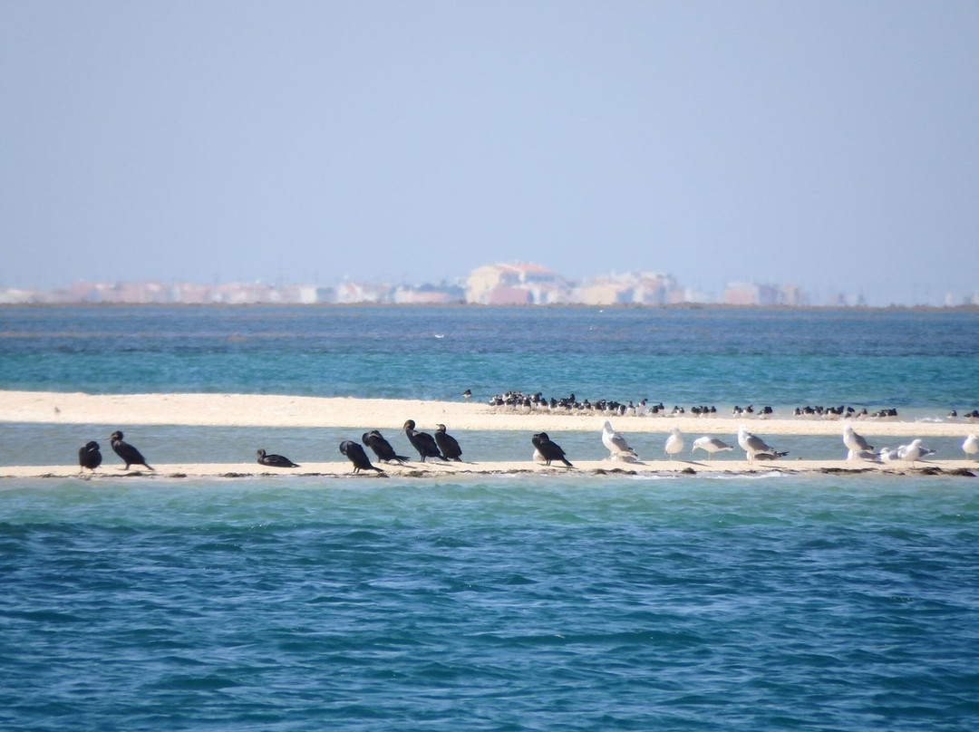 ALGARVE WOW- Day Tours-Almancil必去景点