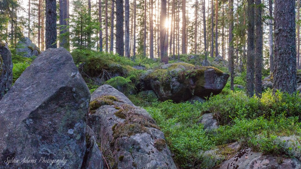 Amazing Nature Scandinavia-Fagersta必去景点