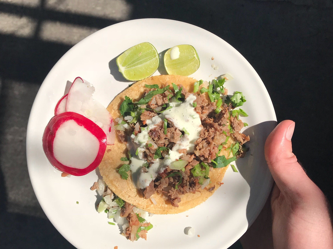 El Taco Club-墨西哥城必去景点