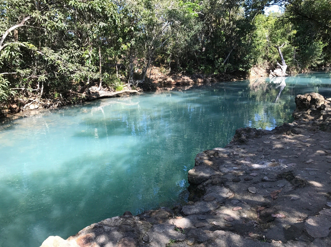 Cardwell Forest Drive景点图片