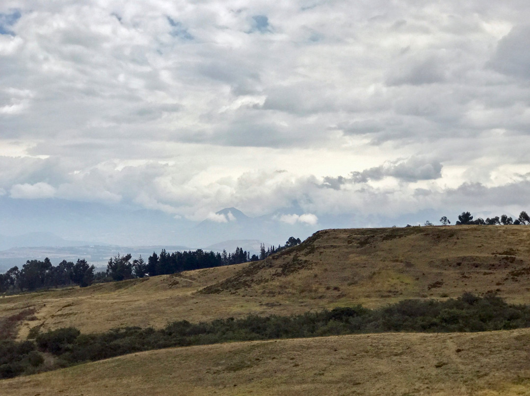 Parque Arqueologico Cochasqui景点图片
