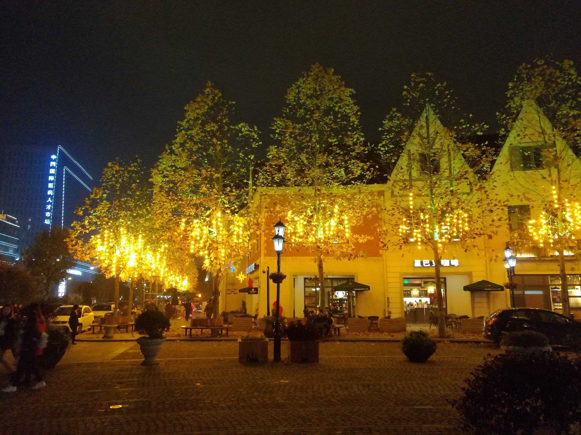 泰州中国医药城智选假日酒店-酒店景观