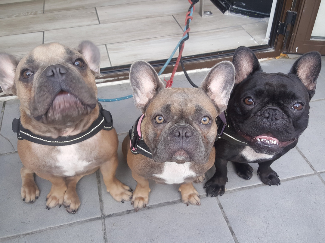 The Sinners Rest-圣庞沙必去景点