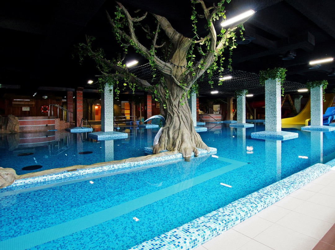 Aquaclub Acapulco景点图片