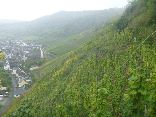 Bremm旅游攻略图片