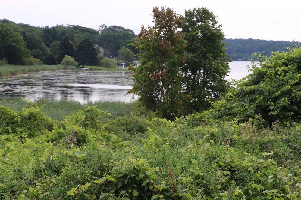 Grass Creek Park景点图片