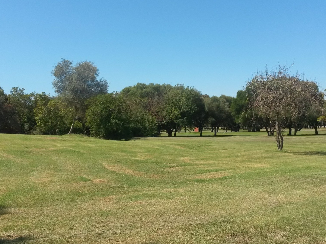 Parque del Alamillo景点图片