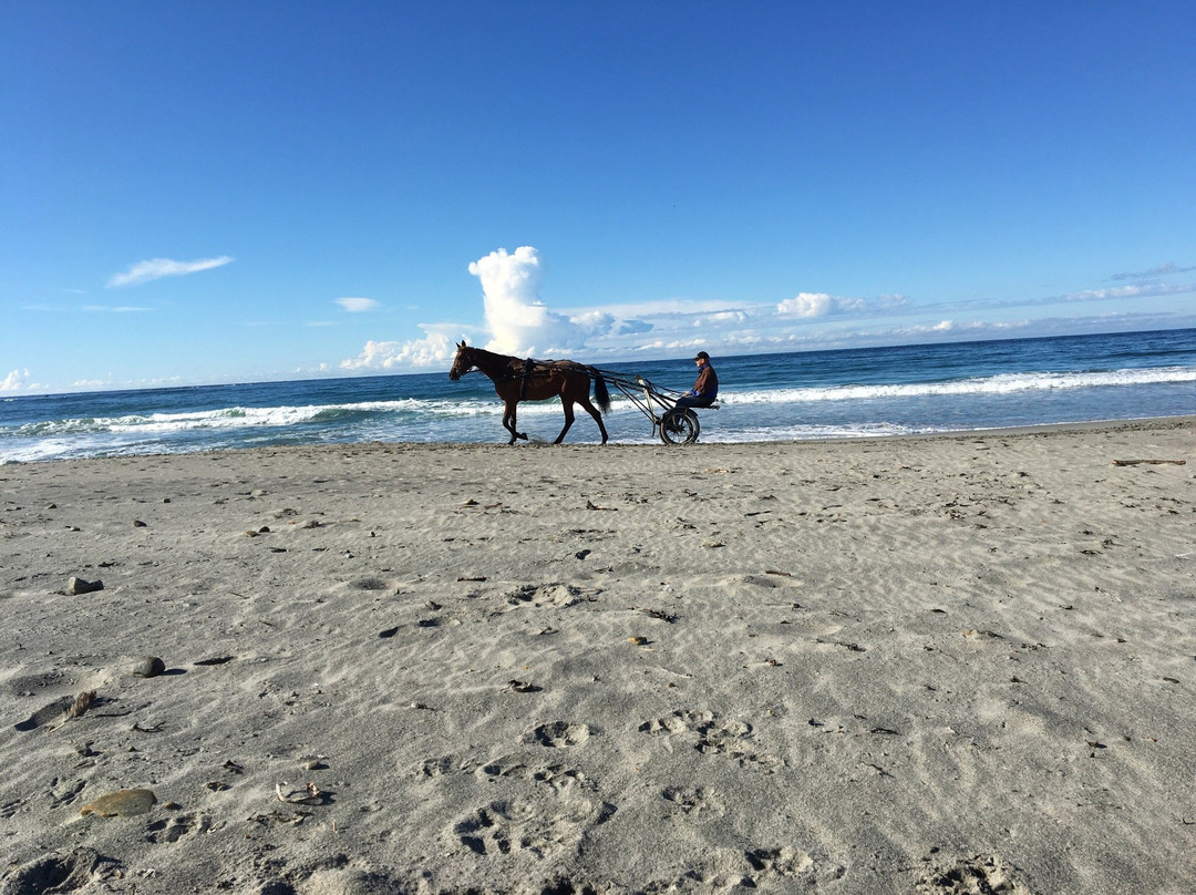 Refsnes Beach景点图片