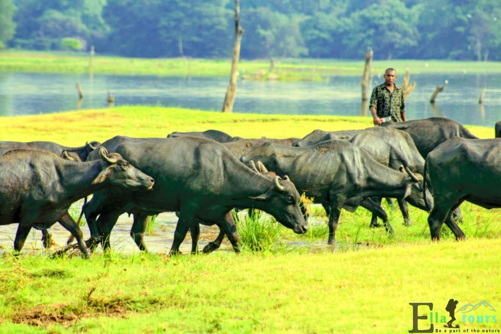 Etili Village Experience-埃勒必去景点